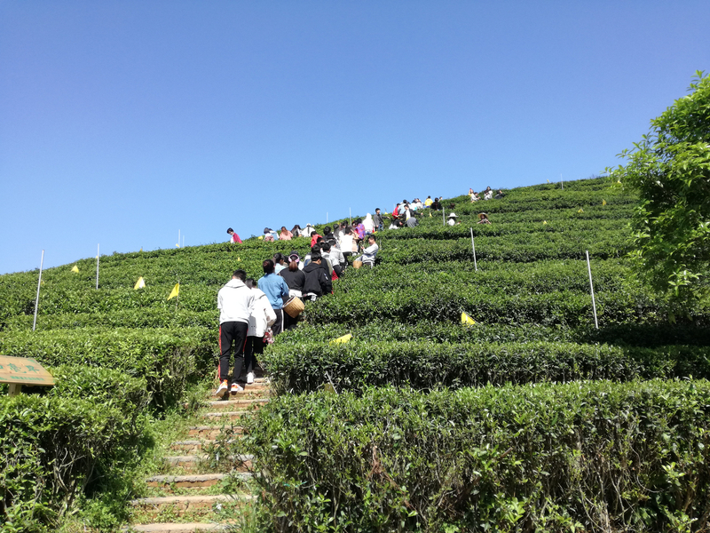 1524124368926001352.jpg 2.jpg