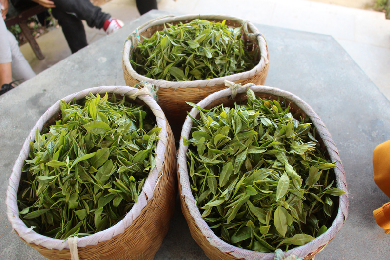 1524124626685007180.jpg 5.jpg