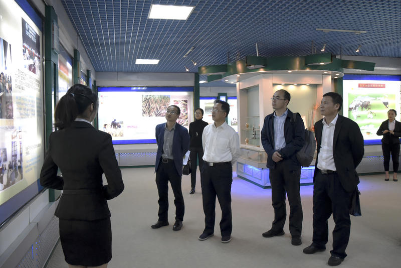 1605775339922081720.jpg DSC_4832.jpg