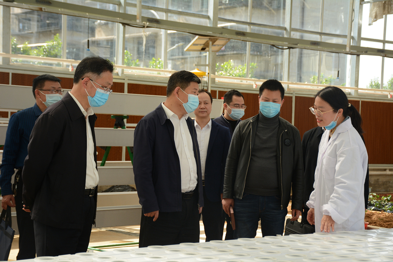 1650939930474026996.jpg DSC_1412.jpg