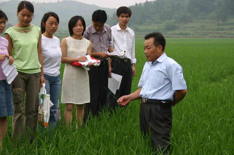 1767490808405077895.jpg 2.jpg